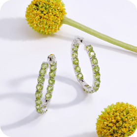 Silver Earrings