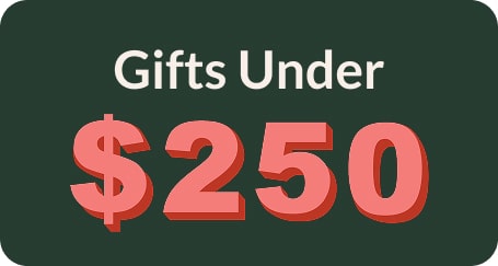 Gifts under $200 