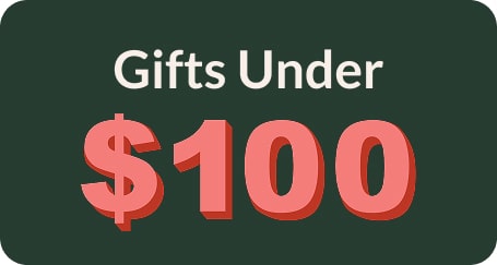 Gifts under $100 
